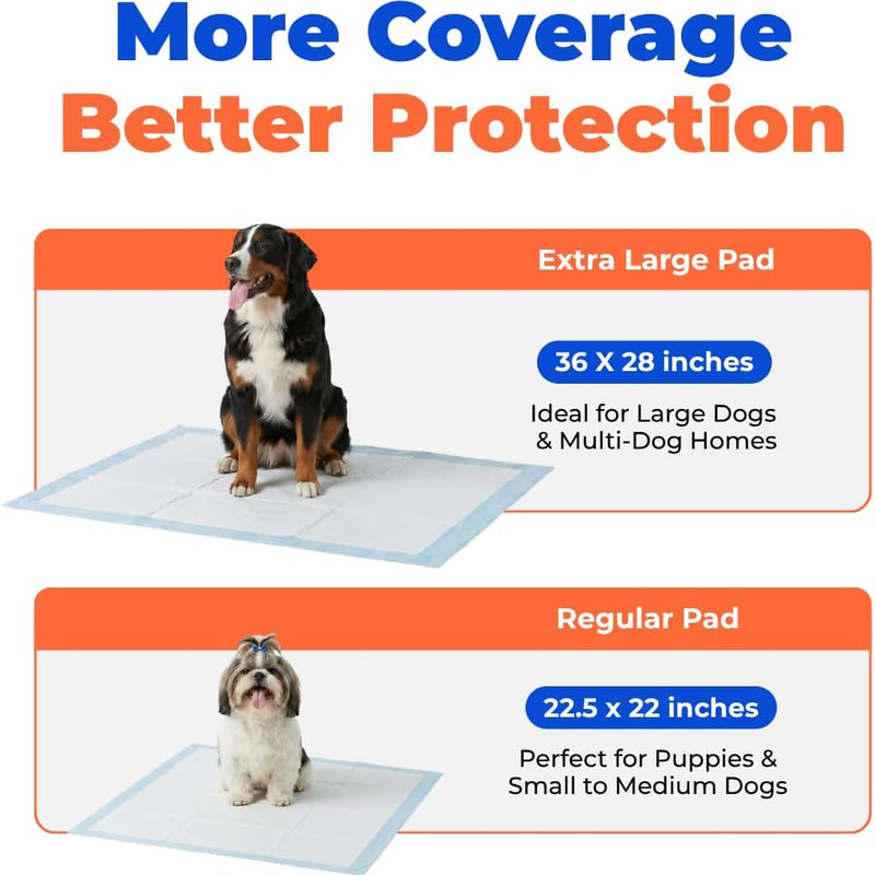Best Pet Supplies Extra Large Dog Training Puppy Pee Pads - Blue, 100 Count | 36x28" Potty Pads, Super Absorbent, Disposable, Leakproof, Keeps Floors Protected & Paws Dry, For Indoor Dogs, Odor Control