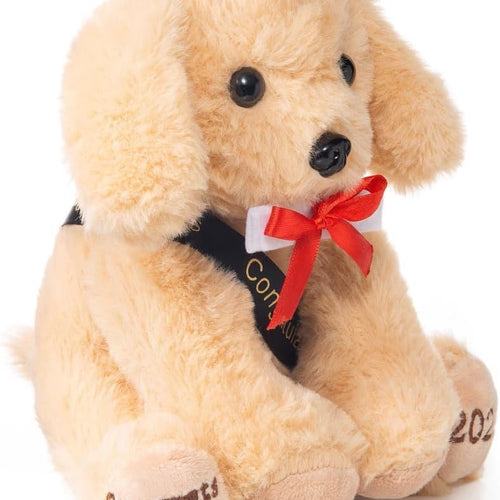 8 Inch Graduation Plush Stuffed Animal Class of 2026 Brown Puppy Dog