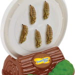 Insect Lore butterfly garden with 5 live baby caterpillars, habitat and chrys-a-lid holder for STEM activity and butterfly release