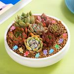 200 Pcs Mini Resin Turtles Glow in the Dark, Tiny Sea Turtle Animals to Hide Small Luminous Figures Miniature Plastic Ocean Animal for Fairy Garden Micro Landscaping Dollhouse Home Decor Crafts