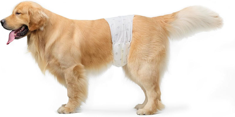 Amazon Basics Absorbent, Leakproof Male Dog Wrap Disposable Diapers with Wetness Indicator, Breathable, Small, White, 50-Pack