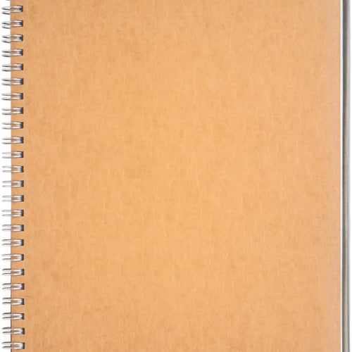 DSTELIN 10 inch x 7.5 inch, 100GSM, Blank Spiral Notebook, 1-Pack, Soft Cover, Sketch book, 100 Pages / 50 Sheets, with writing backboard, (Brown)