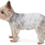 Amazon Basics Absorbent, Leakproof Male Dog Wrap Disposable Diapers with Wetness Indicator, Breathable, Small, White, 50-Pack