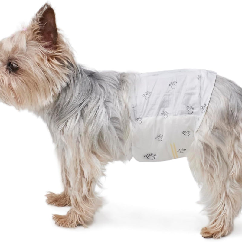 Amazon Basics Absorbent, Leakproof Male Dog Wrap Disposable Diapers with Wetness Indicator, Breathable, Small, White, 50-Pack