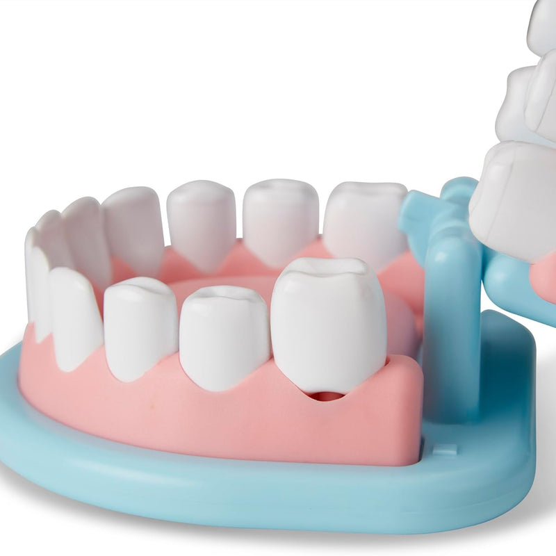Melissa & Doug 25-Piece Dentist Kit, Oversized Teeth & Tools for Kids' Pretend Play, Ages 3+, Educational Toys for Girls & Boys