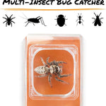 Carson BugView 5X Magnifying Glass Quick-Release Bug Catcher for Indoor and Outdoor Use, Perfect for Kids and Adults