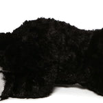 GUND Sebastian Tuxedo Kitten Plush Toy, Premium Cat Stuffed Animal for Ages 1 and Up, Black/White, 14”