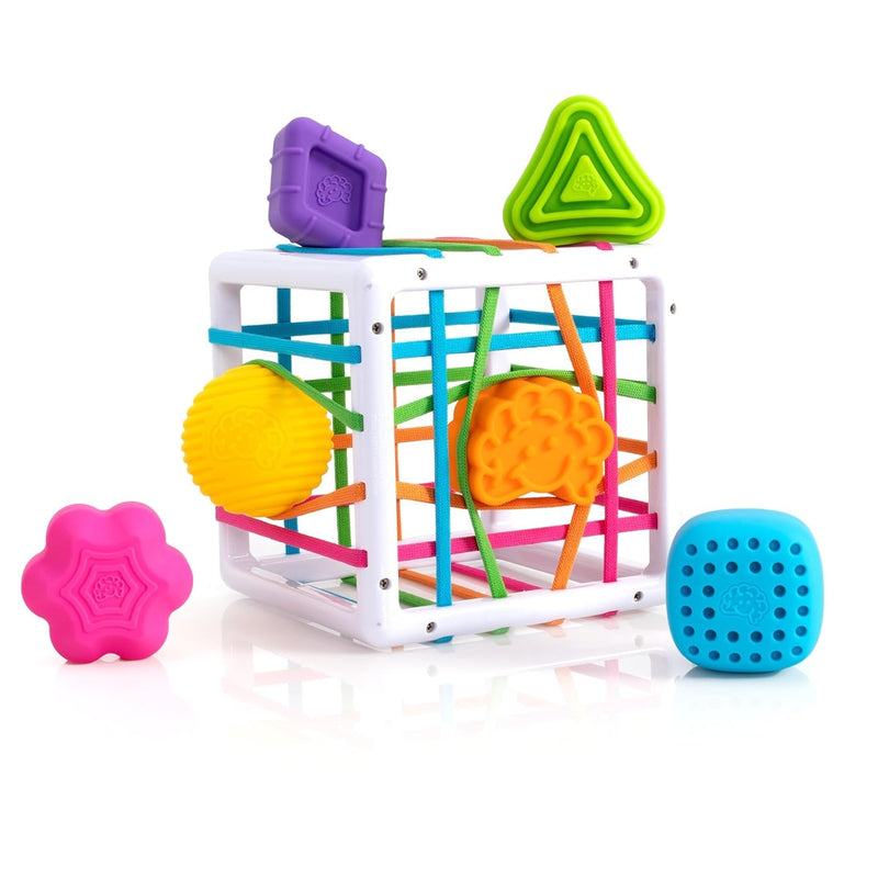 Fat Brain Toys InnyBin Shape Learning Sensory Toy | Grasping and shape-learning activity. Fine motor skills, sensory learning, spatial reasoning. Babies, toddlers, 10 months+.