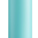 ENCOOL Leakproof Insulated Water Bottle with Straw Dual-Sip Water Bottle Bag-Safe Design for Work, Commute & Gym – Keeps Drinks Cold All Day, 24 oz, Teal Blue
