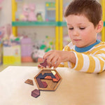 KINGOU 5.5x4.72 inch Wooden Brain Teaser Puzzle for Kids & Adults, High-Quality Timber, 11-Piece Tangram Toy