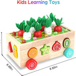 Montessori Wooden Educational Toys: Shape Sorting, Fruit Recognition, and Fine Motor Skills for 1-3 Year Olds