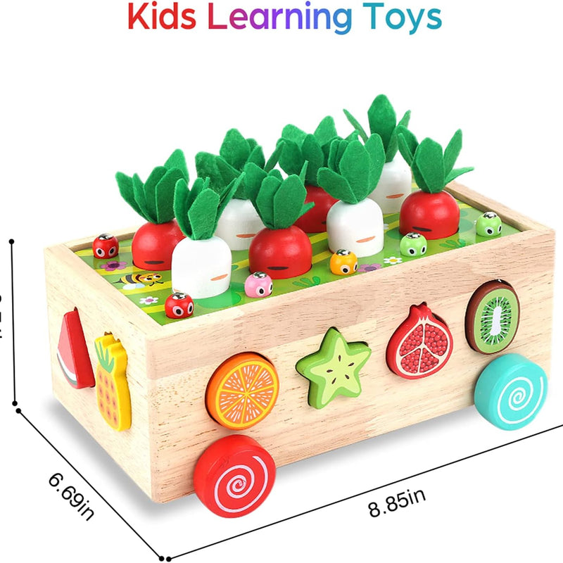 Montessori Wooden Educational Toys: Shape Sorting, Fruit Recognition, and Fine Motor Skills for 1-3 Year Olds