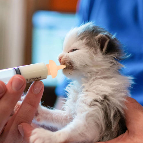 Pet Feeding Syringe with Nipple, Silicone Feeding Tools for Kitten Puppy Feeding Syringe for Newborn Cat Dog Small Animals Rabbits (5ml+10ml +10 nipples)