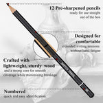 Aenir Sketch Pencils for Drawing, Set of 12 Drawing Pencils for Sketching Medium (6B - 4H), Artist Graphite Pencils, Sketch Set for Artists for Sketching Supplies, Art Supplies.