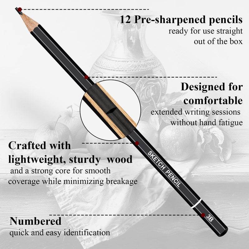 Aenir Sketch Pencils for Drawing, Set of 12 Drawing Pencils for Sketching Medium (6B - 4H), Artist Graphite Pencils, Sketch Set for Artists for Sketching Supplies, Art Supplies.