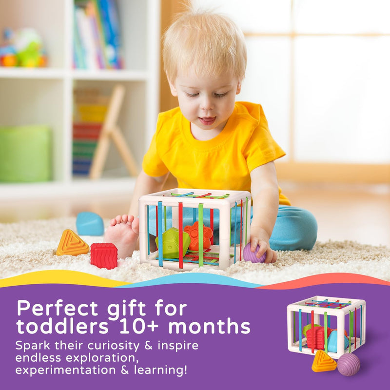 LiKee Montessori shape sorter toys for 1 year old, 6pcs multi sensory shapes, 12+ months developmental learning