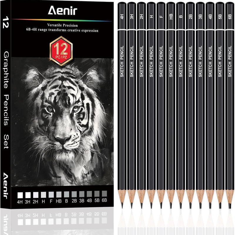 Aenir Sketch Pencils for Drawing, Set of 12 Drawing Pencils for Sketching Medium (6B - 4H), Artist Graphite Pencils, Sketch Set for Artists for Sketching Supplies, Art Supplies.