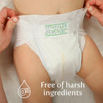 Earth & Eden Sensitive Baby Diapers, Size 3, No Harsh Chemicals, 222 ct | Eco-Conscious, Hypoallergenic, No Harsh Chemicals, Dermatologically Approved