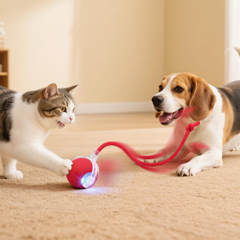 Smart Interactive Automatic Electric Rolling Moving Rechargeable Motion Activated Self Play Electronic Stimulation Chase Teaser Ball Toy with Rope for Indoor Bored Adult Cat and Dog Not Chewing, Pink