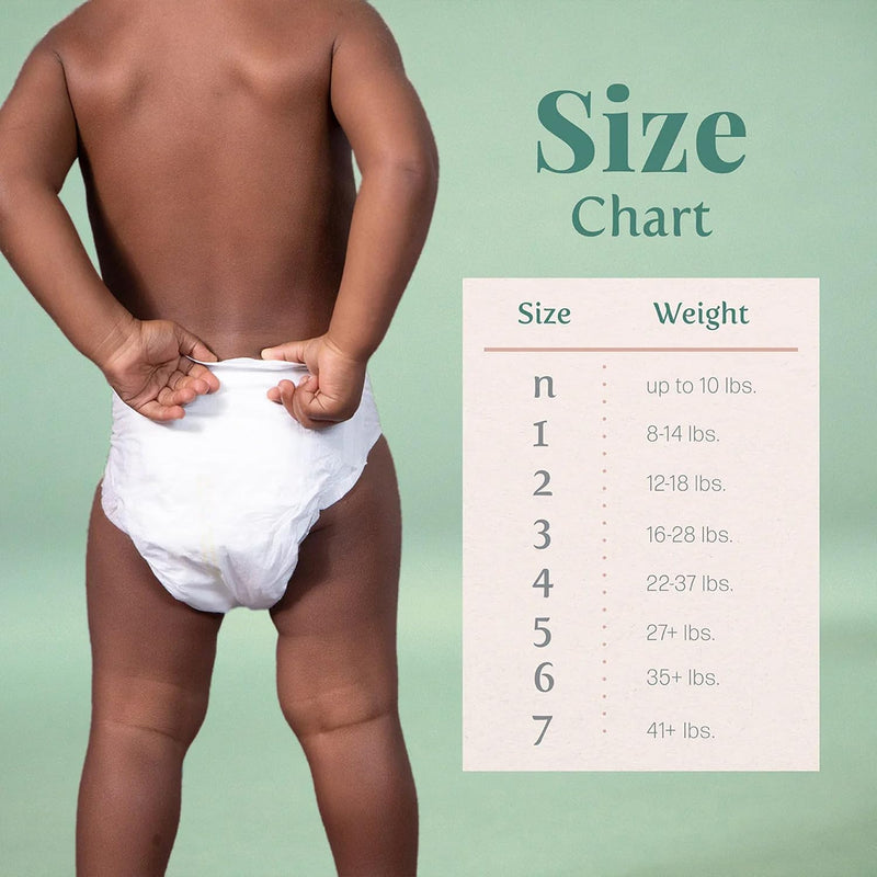 Earth & Eden Sensitive Baby Diapers, Size 3, No Harsh Chemicals, 222 ct | Eco-Conscious, Hypoallergenic, No Harsh Chemicals, Dermatologically Approved