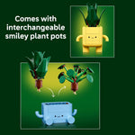 LEGO Botanicals Happy Plants Building Toy for Kids 9+ with Artificial Indoor Plants and Playroom Decor