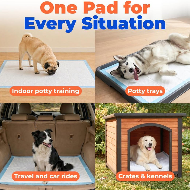 Best Pet Supplies Extra Large Dog Training Puppy Pee Pads - Blue, 100 Count | 36x28" Potty Pads, Super Absorbent, Disposable, Leakproof, Keeps Floors Protected & Paws Dry, For Indoor Dogs, Odor Control