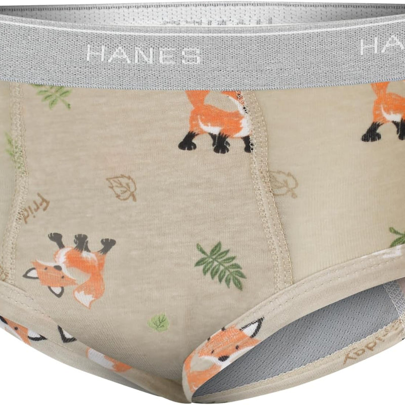 Hanes Boys' Potty Training Underwear, Light Leaks Toddler Cotton Briefs and Boxer Briefs, Multi-pack