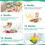 beiens baby books toys, touch and feel crinkle cloth book for infant 0-12 months, early development interactive stroller soft toys