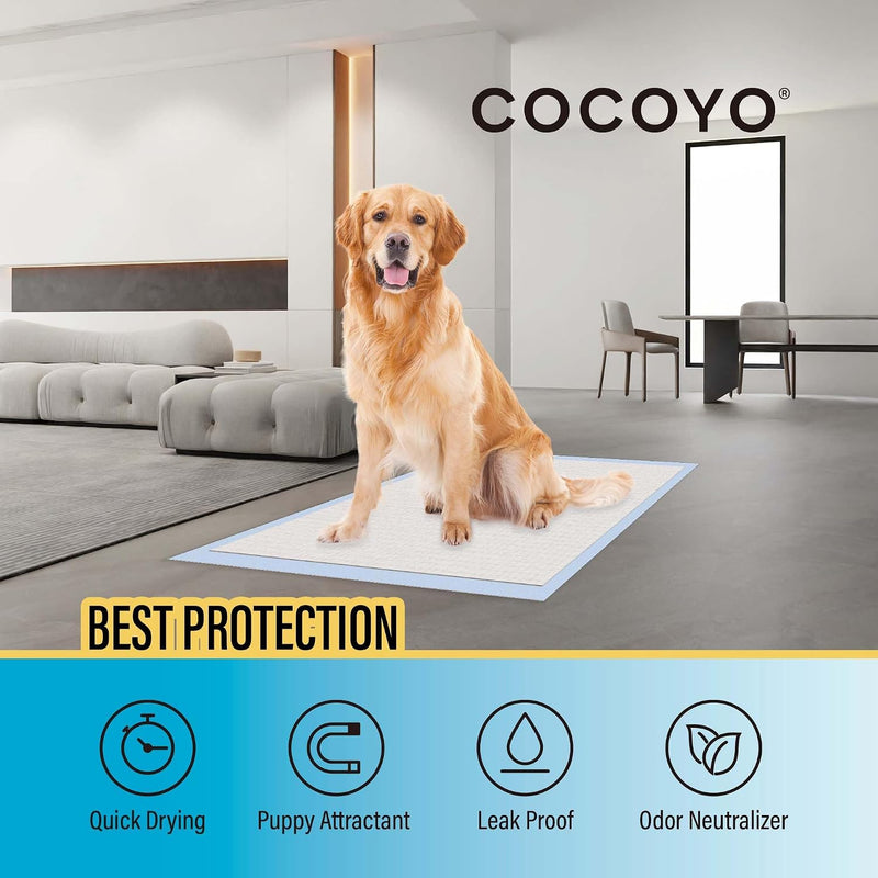 COCOYO Best Value Training Pads, 22" x 22", 100 Count, White & Blue Puppy Pads