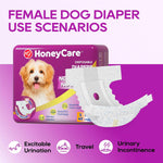 HONEY CARE All-Absorb Disposable Female Dog Diapers Small Size, Improved, 40 Count, Super Absorbent, Breathable, Wetness Indicator (Pack of 1, 40 Count Total)