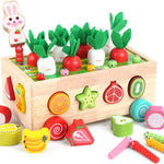 Montessori Wooden Educational Toys: Shape Sorting, Fruit Recognition, and Fine Motor Skills for 1-3 Year Olds