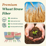 Wheat Straw Dinnerware Sets 20 PCS Cups and Plates Sets for Kitchen Microwave and Dishwasher Safe Plate Set Unbreakable Camping Dish Set Kids Plates and Bowls Sets for Picnic, RV (Multilight)