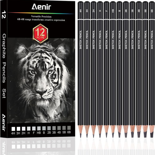 Aenir Sketch Pencils for Drawing, Set of 12 Drawing Pencils for Sketching Medium (6B - 4H), Artist Graphite Pencils, Sketch Set for Artists for Sketching Supplies, Art Supplies.