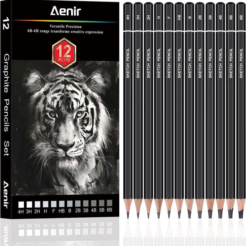 Aenir Sketch Pencils for Drawing, Set of 12 Drawing Pencils for Sketching Medium (6B - 4H), Artist Graphite Pencils, Sketch Set for Artists for Sketching Supplies, Art Supplies.
