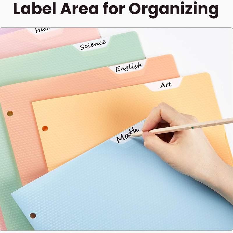 Sooez 6 Pack 2-Pocket Folders Heavy Duty, Plastic Folders with Pockets 3 Hole Punched, Pockets Folder for 3 Ring Binder with Writable Label, Letter Size, Pastels