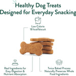 Portland Pet Food Pumpkin Dog Treats, Healthy, Grain-Free Biscuits 3 Pack | Human-Grade, Limited Ingredient, Natural Low Calorie Training Treats for Small & Large Dogs, Puppy to Senior, Made in USA