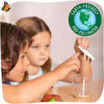 Insect Lore Painted Lady Butterfly Garden with 10 Live Baby Caterpillars and STEM Journal