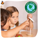 Insect Lore Painted Lady Caterpillars - Live Refill for Butterfly Garden Kit STEM Learning