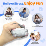 Cat Squishy Toy, Soft TPR Stress Relief Sensory Squeeze Toys, Cute Kawaii Desk Toy, Birthday Gift and Party Favor for Kids and Adults