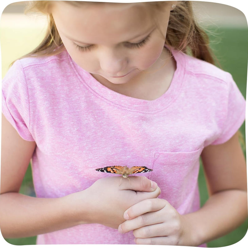 Insect Lore Painted Lady Butterfly Garden with 10 Live Baby Caterpillars and STEM Journal