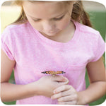 Insect Lore butterfly garden with 5 live baby caterpillars, habitat and chrys-a-lid holder for STEM activity and butterfly release