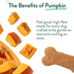 Portland Pet Food Pumpkin Dog Treats, Healthy, Grain-Free Biscuits 3 Pack | Human-Grade, Limited Ingredient, Natural Low Calorie Training Treats for Small & Large Dogs, Puppy to Senior, Made in USA