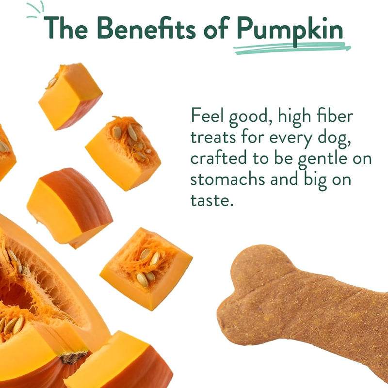 Portland Pet Food Pumpkin Dog Treats, Healthy, Grain-Free Biscuits 3 Pack | Human-Grade, Limited Ingredient, Natural Low Calorie Training Treats for Small & Large Dogs, Puppy to Senior, Made in USA