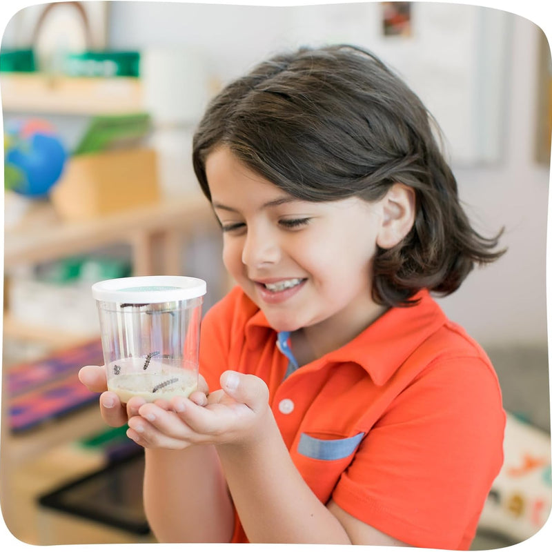 Insect Lore butterfly garden with 5 live baby caterpillars, habitat and chrys-a-lid holder for STEM activity and butterfly release
