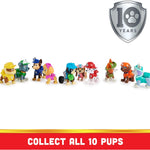Paw Patrol, 10th Anniversary, All Paws On Deck Toy Figures Gift Pack with 10 Collectible Action Figures, Kids Toys for Ages 3 and up