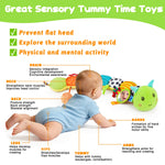 Topsochir Baby Sensory Toys 0-6 Months Music Animal Stuffed Plush Caterpillar Toy for Infant 0-3-6-12 Month Old Tummy Time with Mirror Crinkle Rattle Toys for Newborn Boys Girls Shower Birthday Gifts
