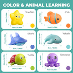 Hely Cancy Infant Bath Toys, No-Hole Design for Safe & Easy Cleaning, 18+ Months