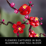 LEGO Botanicals Plum Blossom Building Set for Adults - Artificial Flower Home Decor DIY Craft Kit