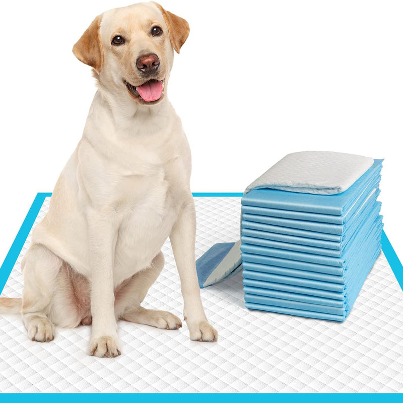 IMMCUTE Large Dog Pee Pads 28"x30"-50 Count | Large Puppy Pee Training Pads Super Absorbent & Leak-Proof | Disposable Pet Piddle and Potty Pads for Puppies | Dogs | Doggie