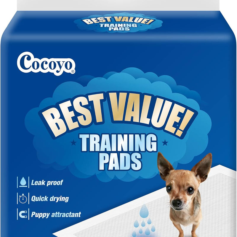 COCOYO Best Value Training Pads, 22" x 22", 100 Count, White & Blue Puppy Pads